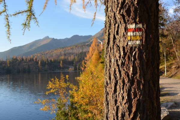 high-tatras-4809130_1280